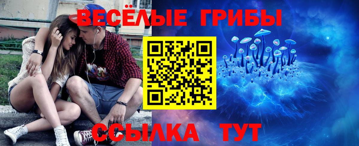Скопин  Псилоцибиновые грибы Magic Shrooms  Вход с VPN 